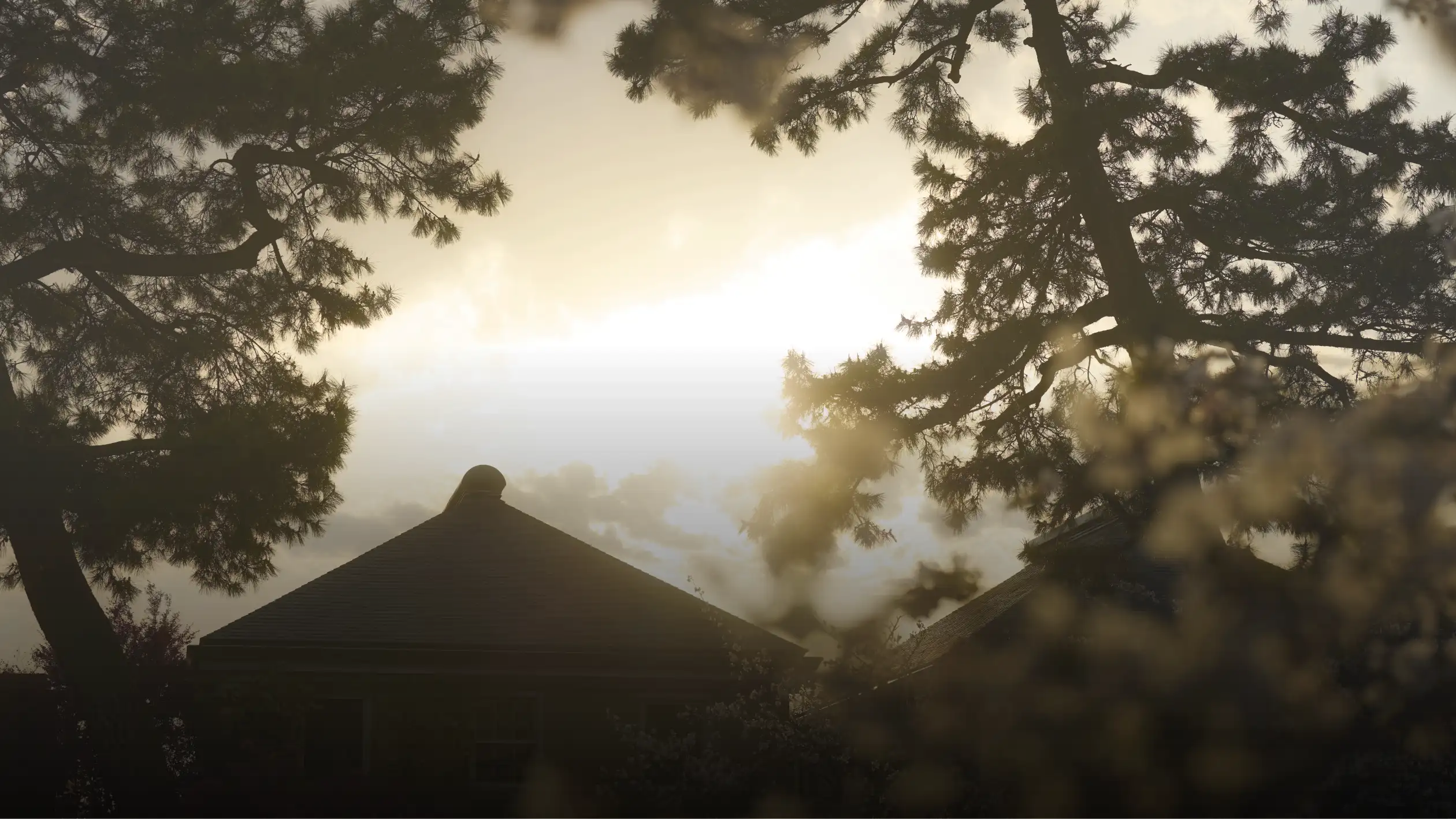 現地周辺の街並み