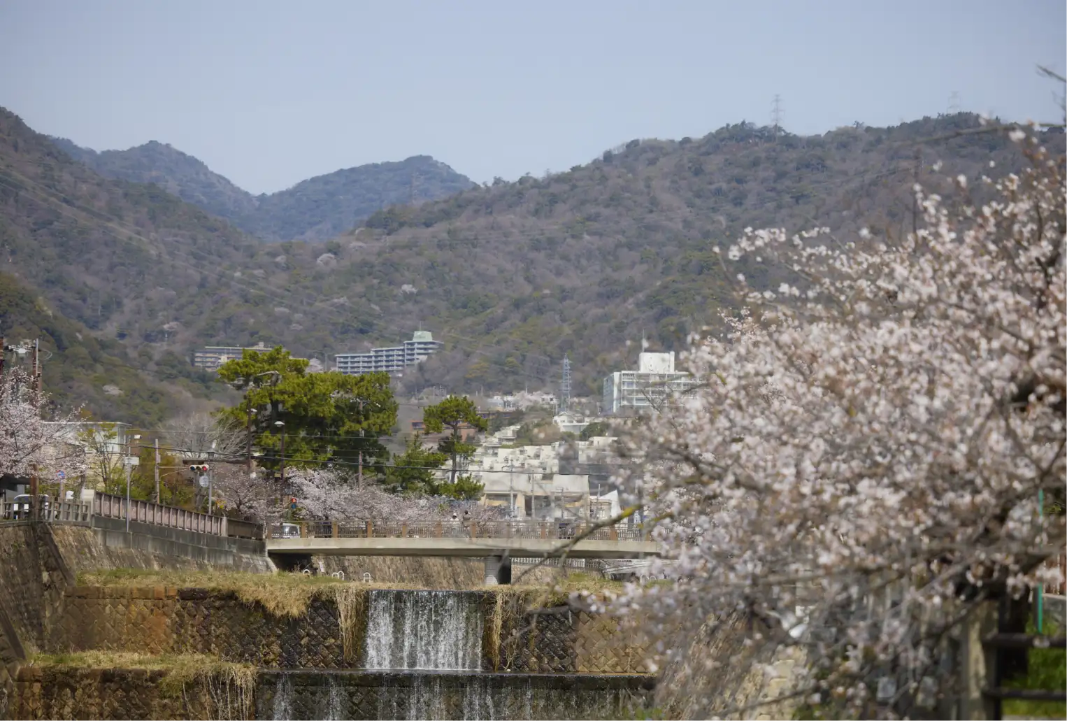 芦屋川（徒歩5分/約340m）