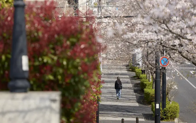 現地周辺の街並み