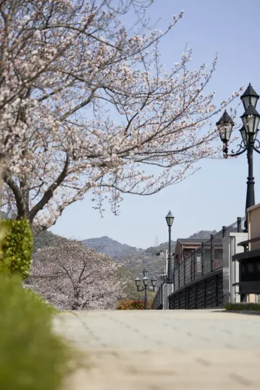 現地周辺の街並み