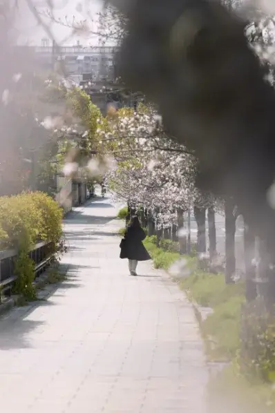 現地周辺の街並み