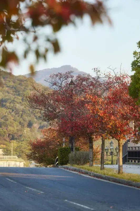 現地周辺の街並み