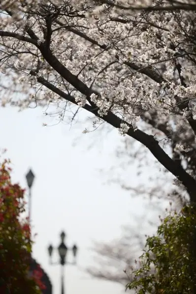 現地周辺の街並み