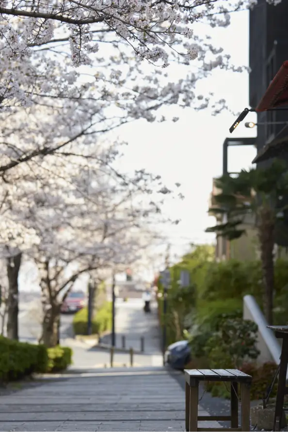 現地周辺の街並み