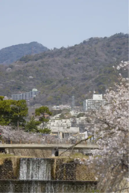 芦屋川（徒歩5分/約340m）