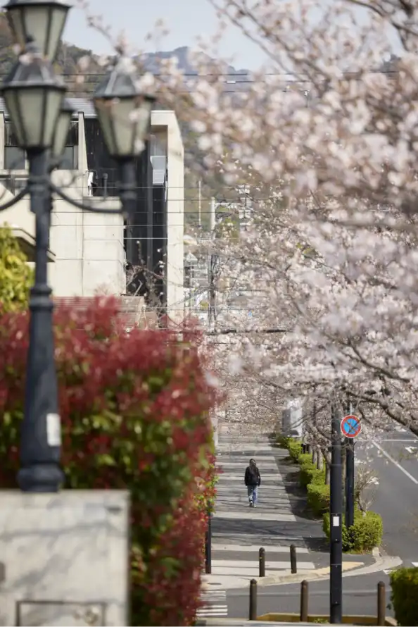 現地周辺の街並み