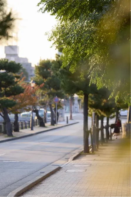 現地周辺の街並み