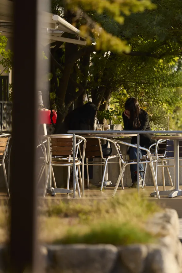 現地周辺の街並み