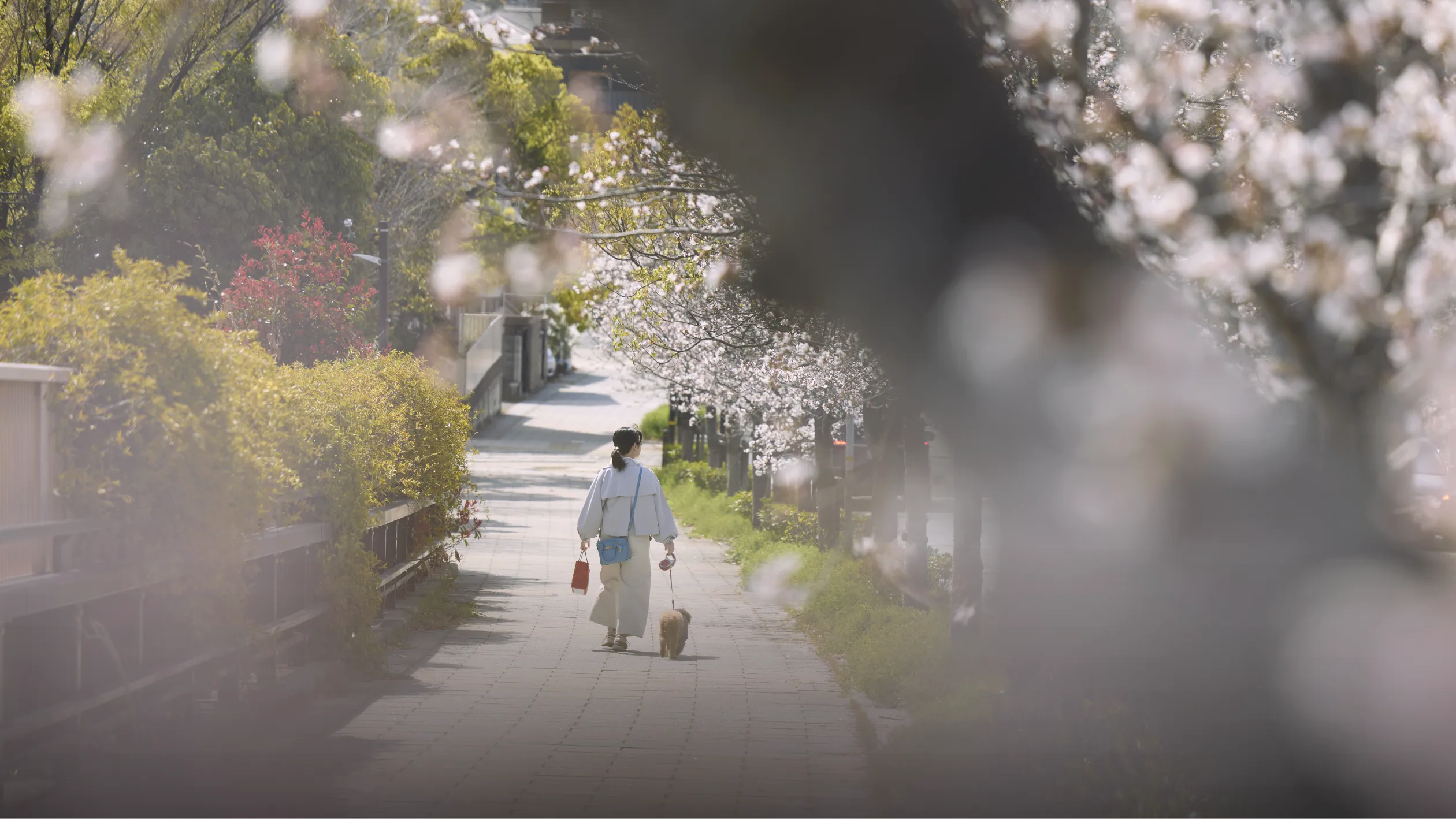 現地周辺の街並み