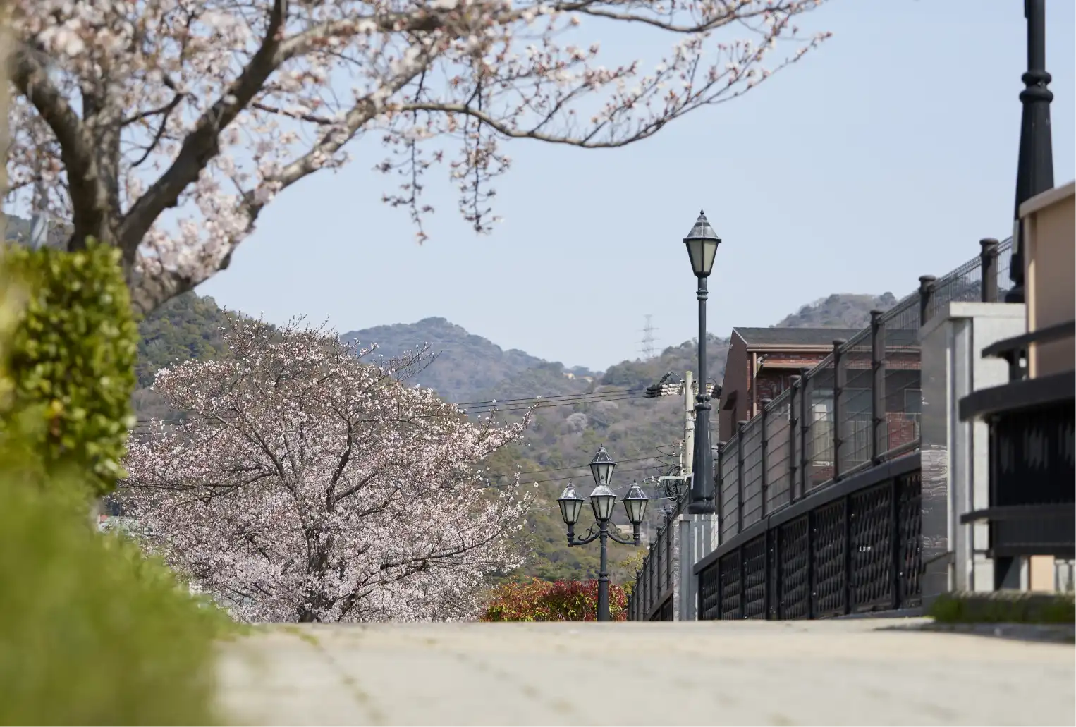 現地周辺の街並み