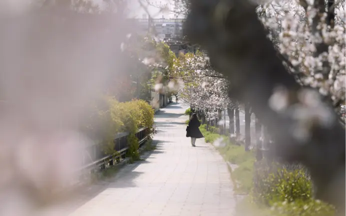 現地周辺の街並み