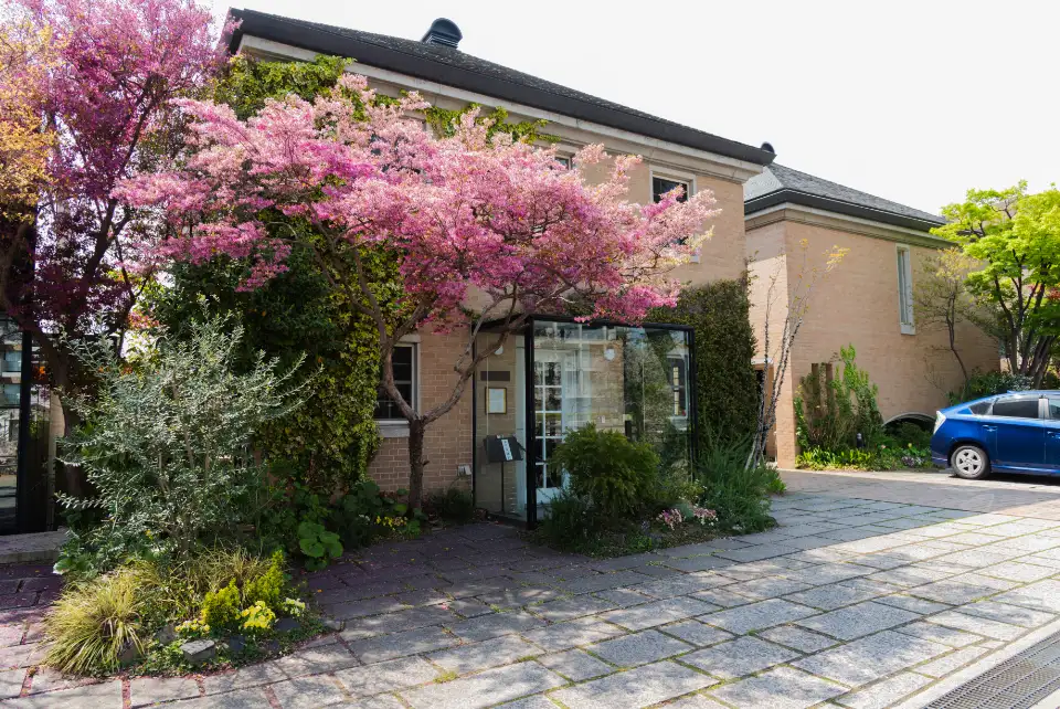 リストランテベリーニ