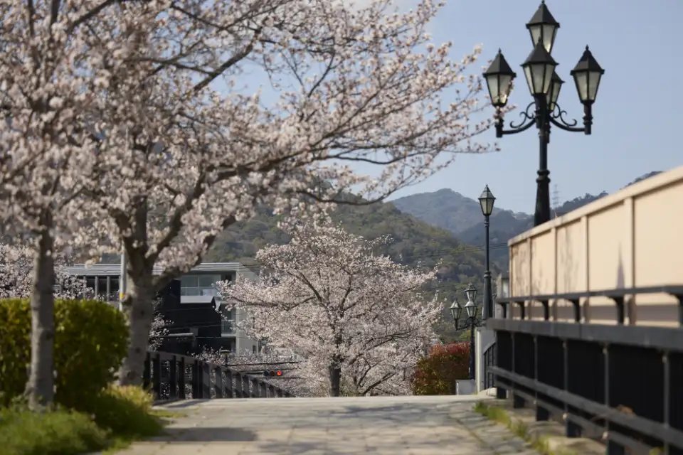 リストランテベリーニ