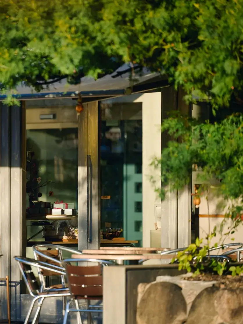 テラスダニエル