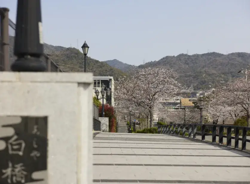 現地周辺の街並み