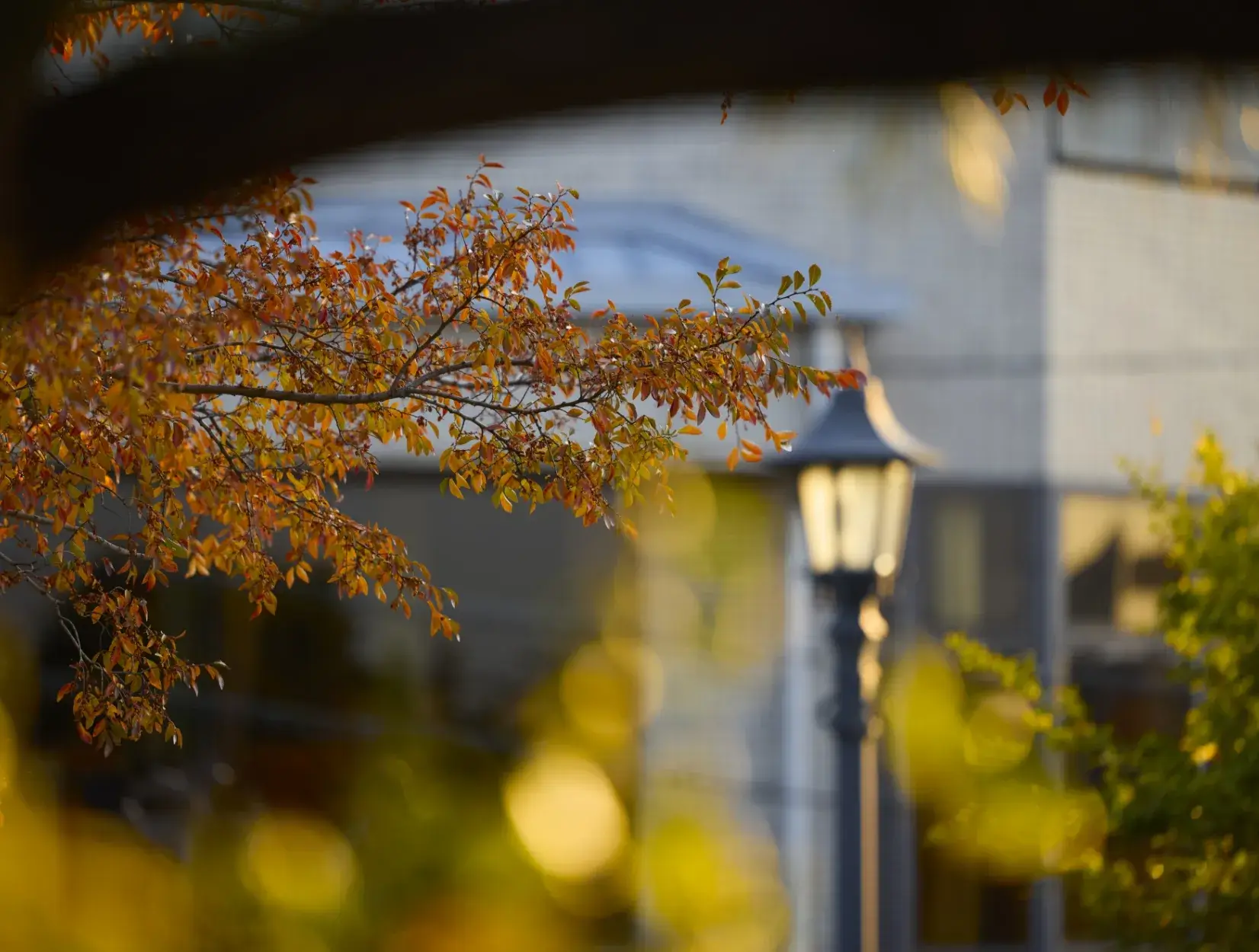 現地周辺の街並み