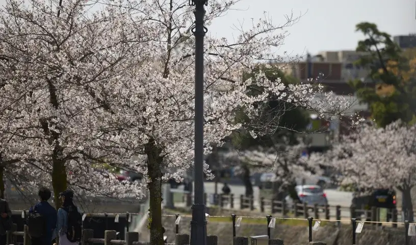 現地周辺の街並み