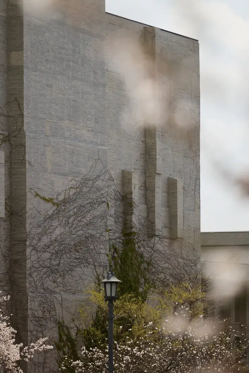 現地周辺の街並み