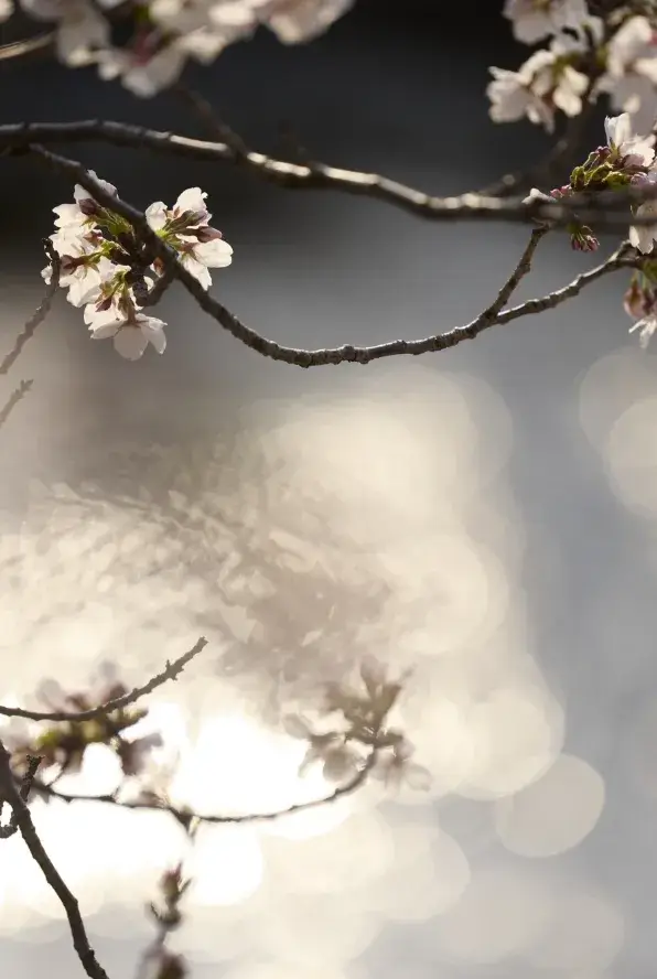 現地周辺の街並み