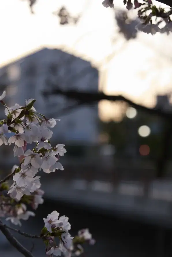 現地周辺の街並み