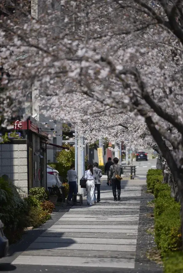 現地周辺の街並み