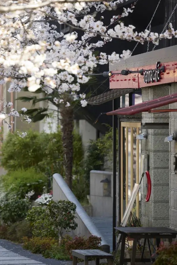 現地周辺の街並み