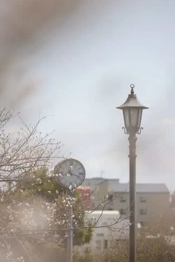 現地周辺の街並み