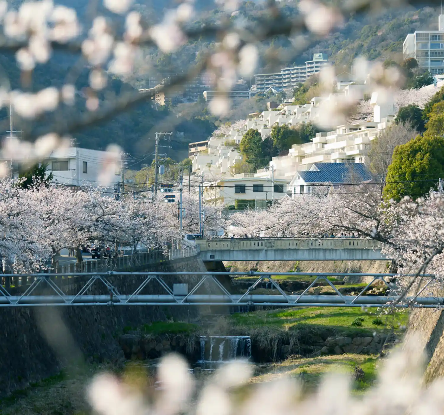 芦屋川（徒歩5分/約340m）