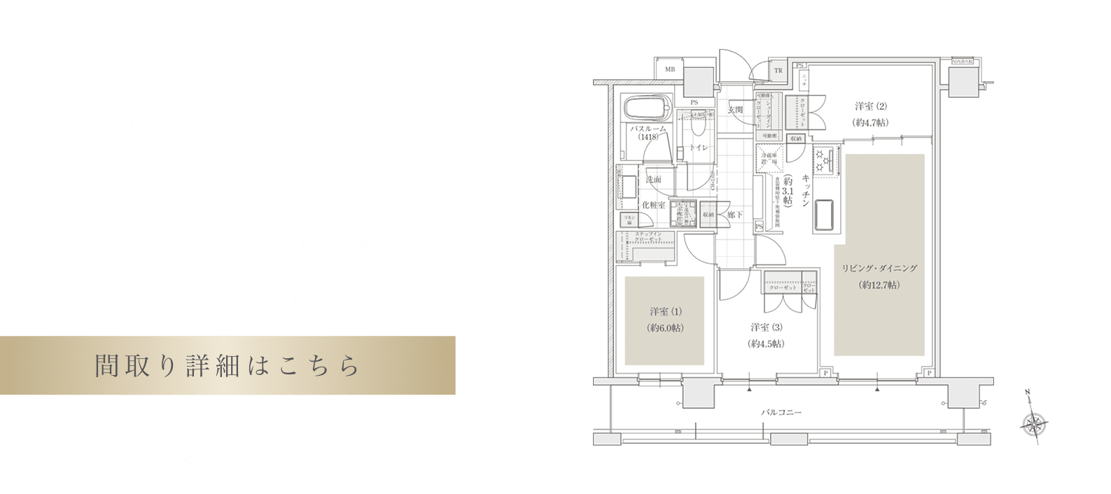 70G TYPE