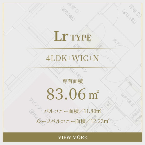 Lr type