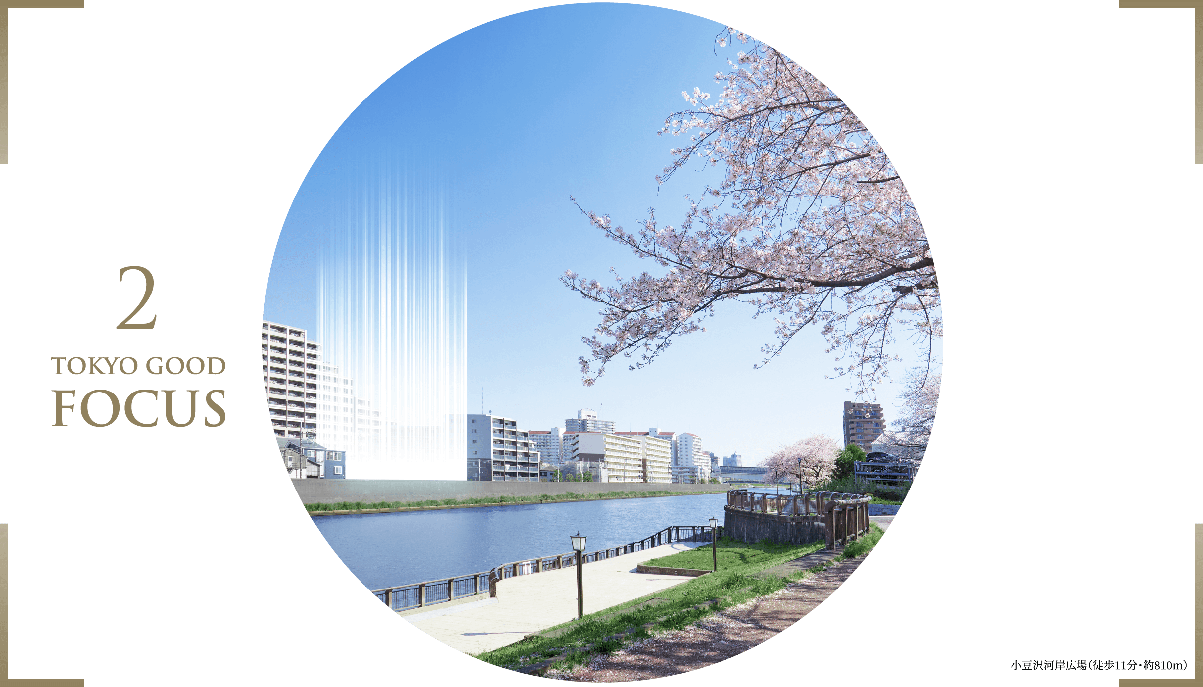2 Tokyo Good Focus