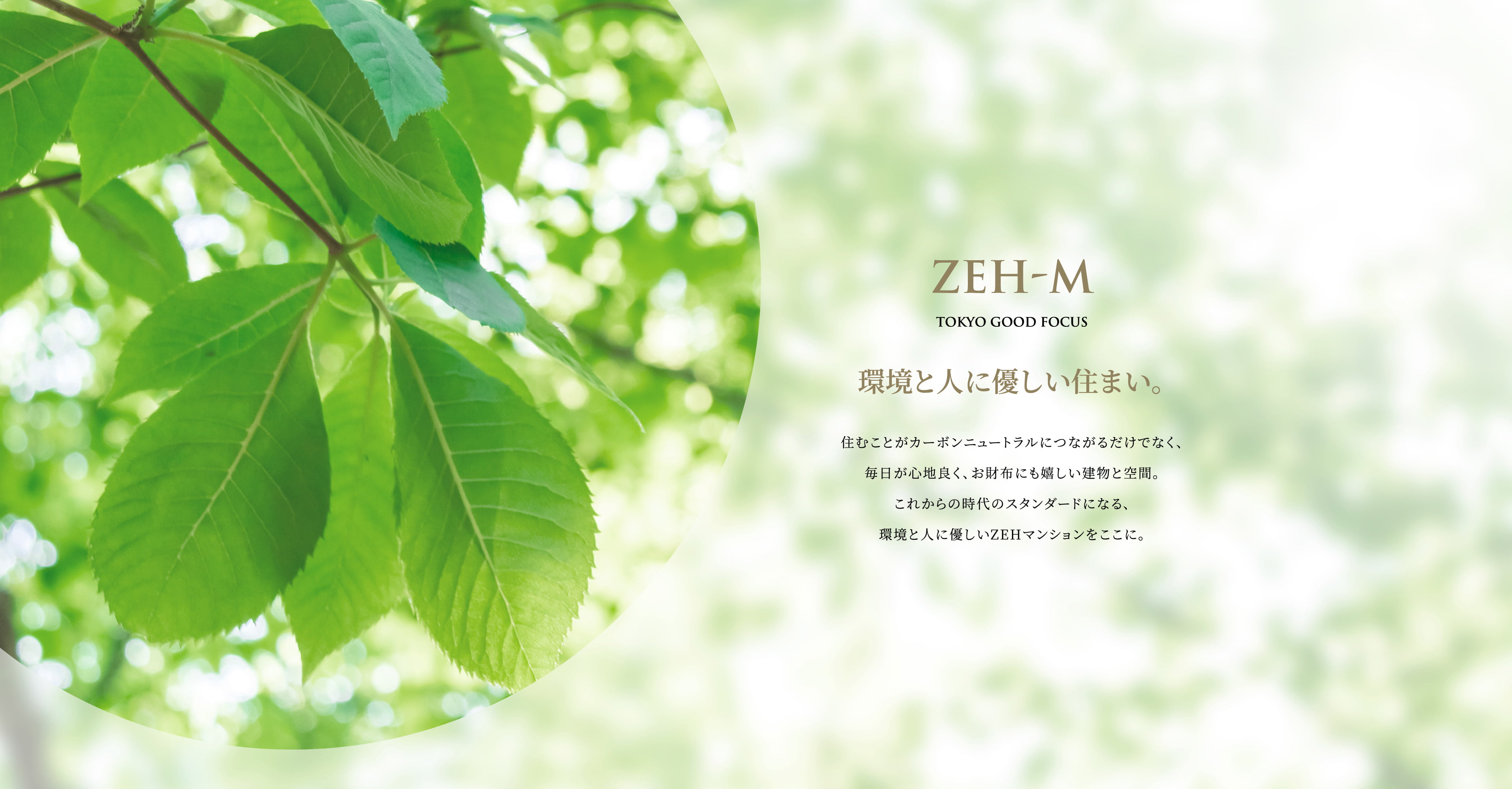 ZEH-M