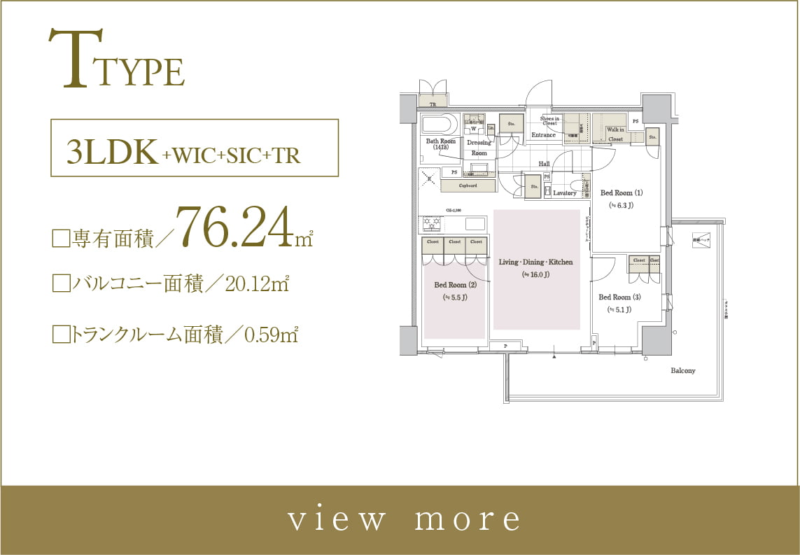 T type
