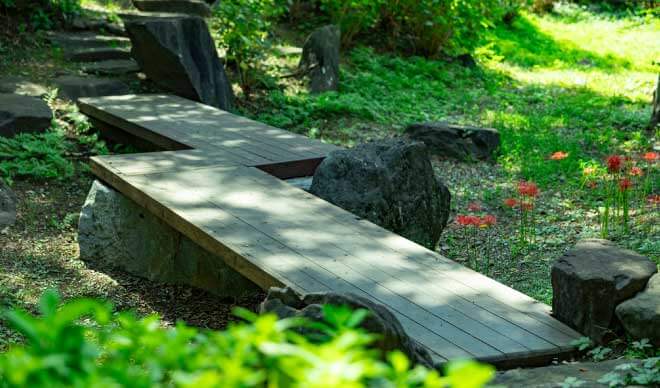 玉川上水永泉寺緑地
