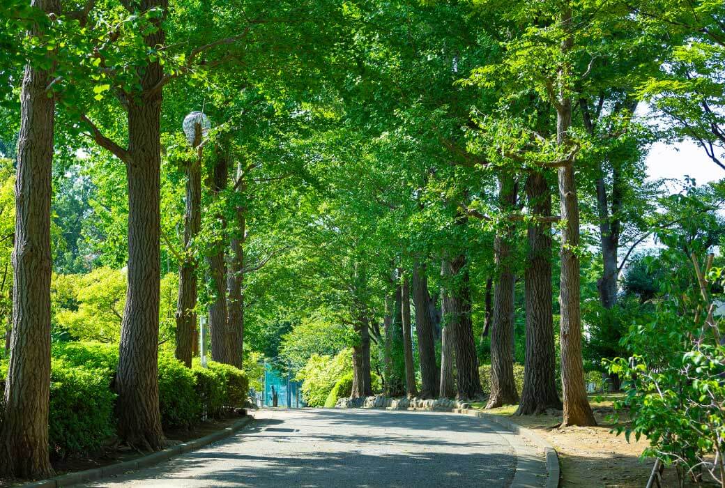 世田谷区立羽根木公園
