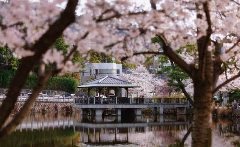 深田池公園