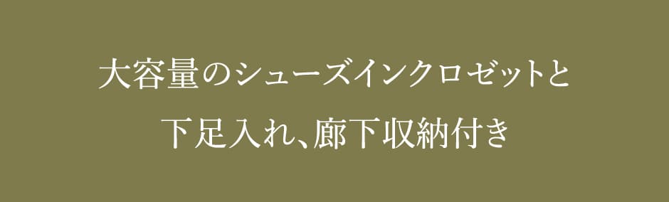 大容量のシューズインクロゼットと下足入れ、廊下収納付き