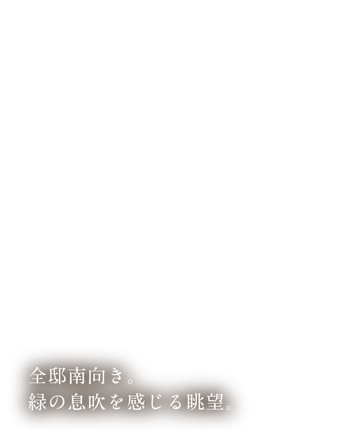 全邸南向き。緑の息吹を感じる眺望。