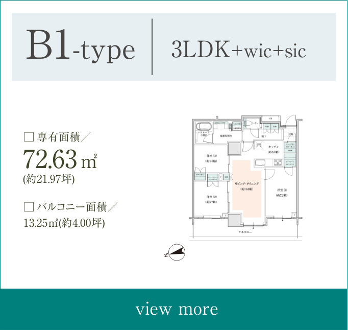 B1type