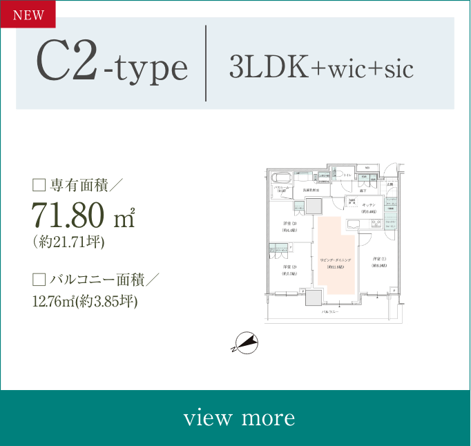 C2type