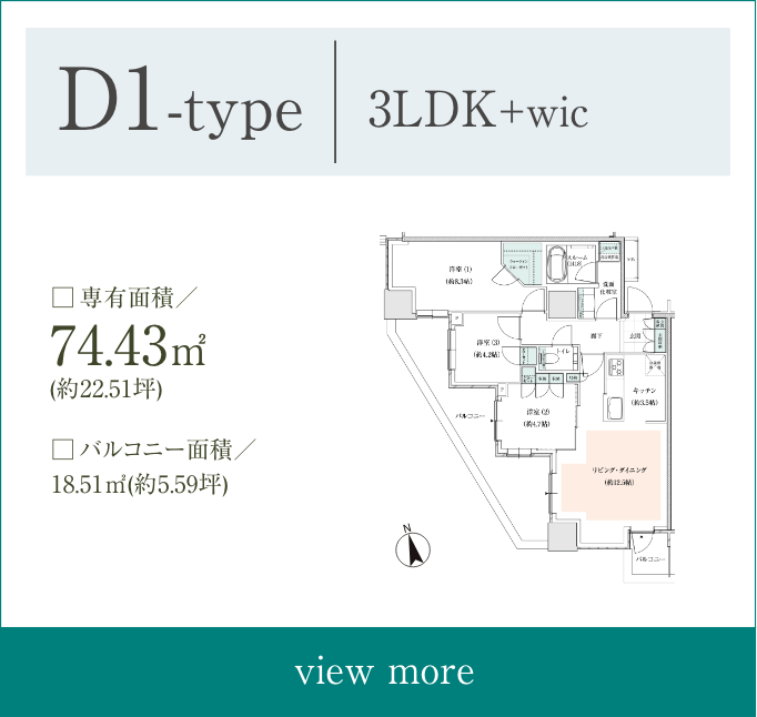 D1type