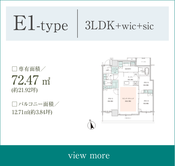 E1type