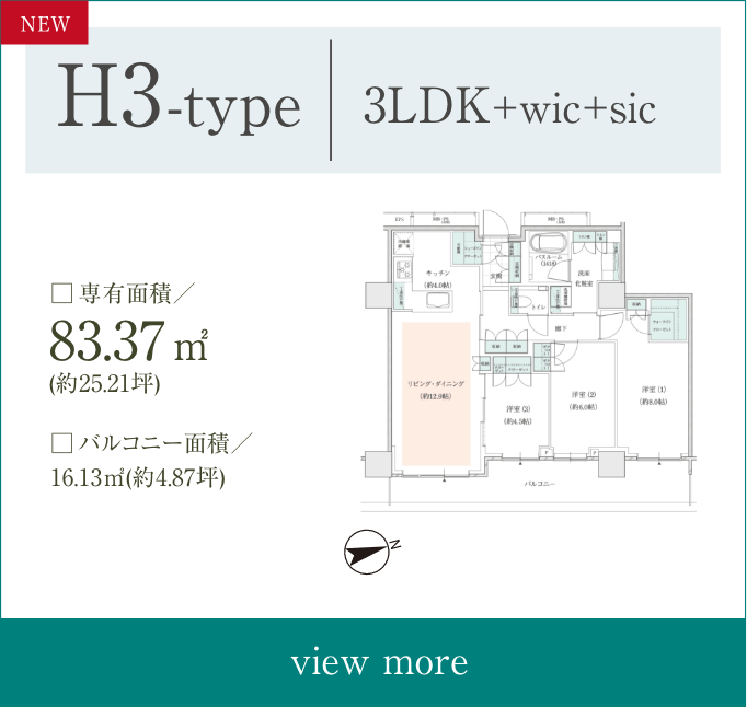 H3type