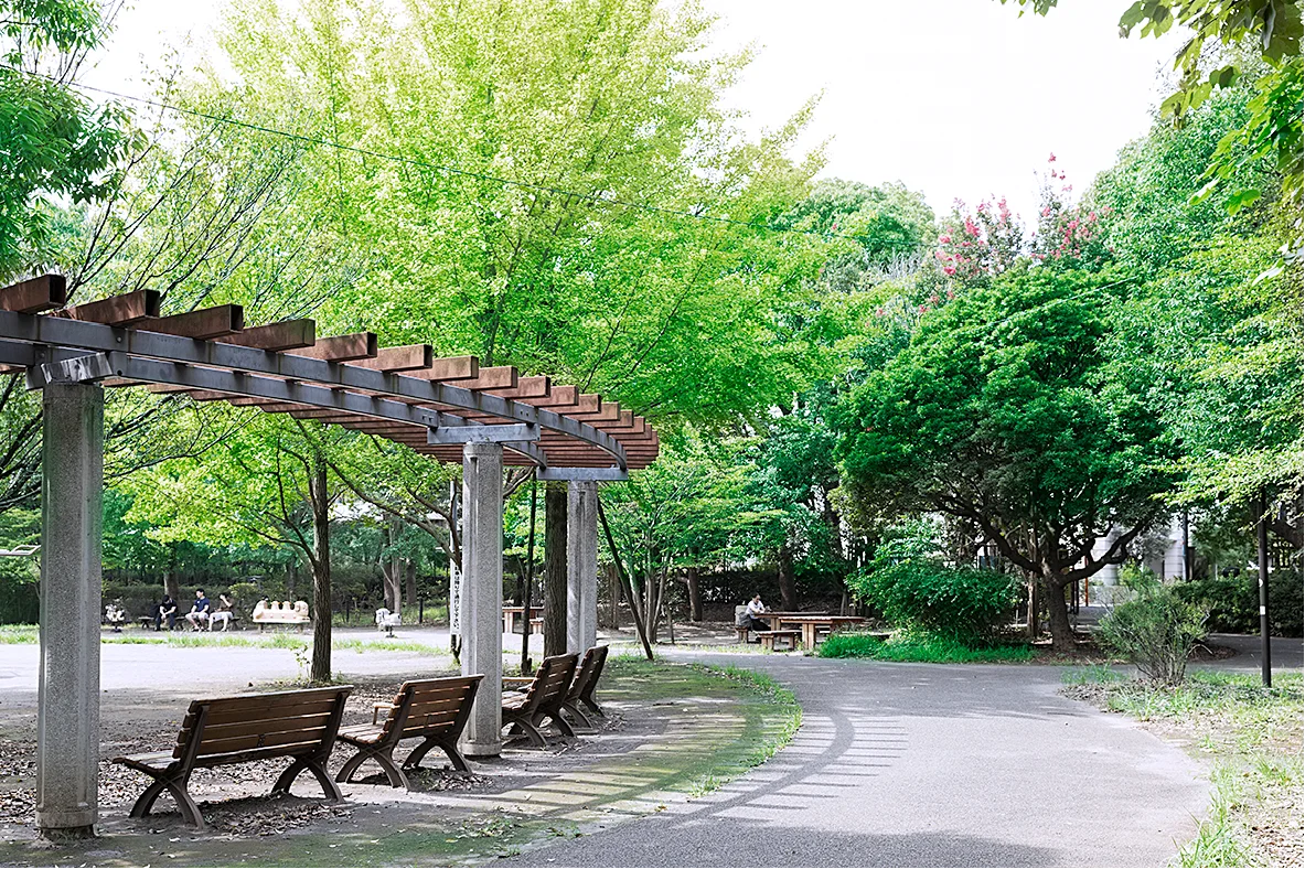 駒場野公園