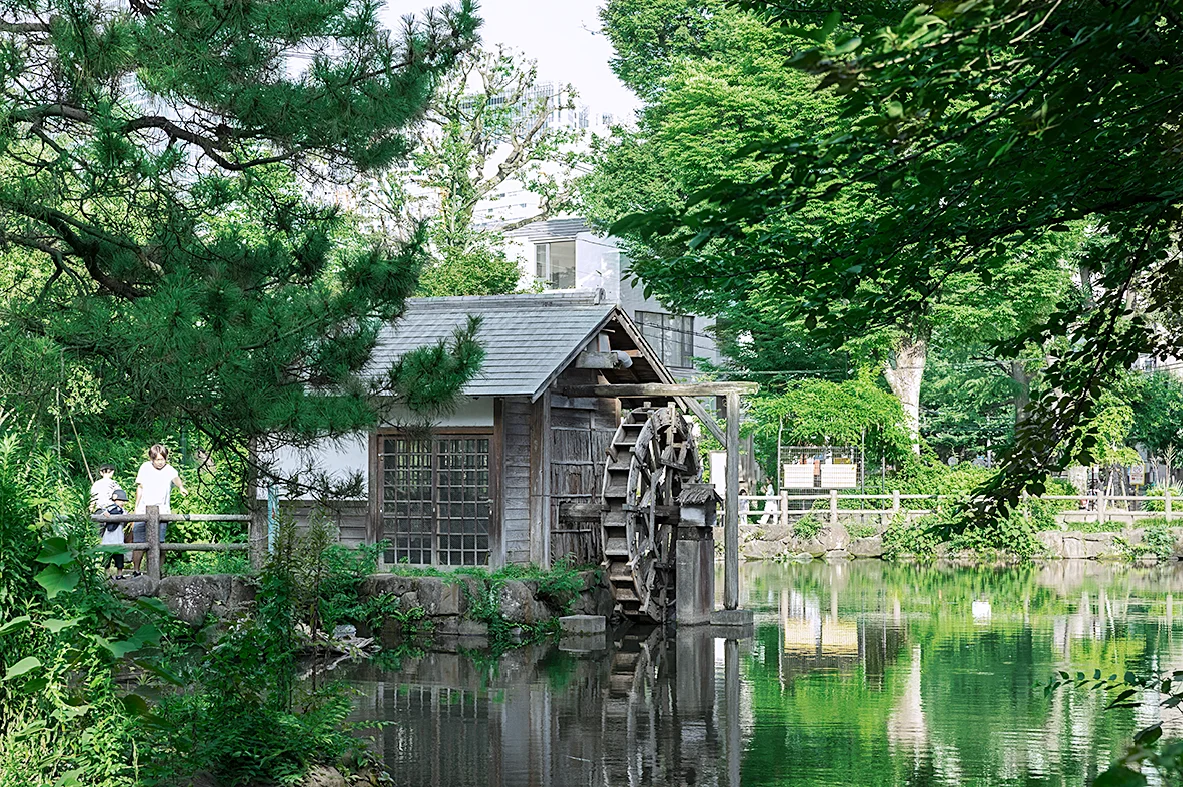 鍋島松濤公園