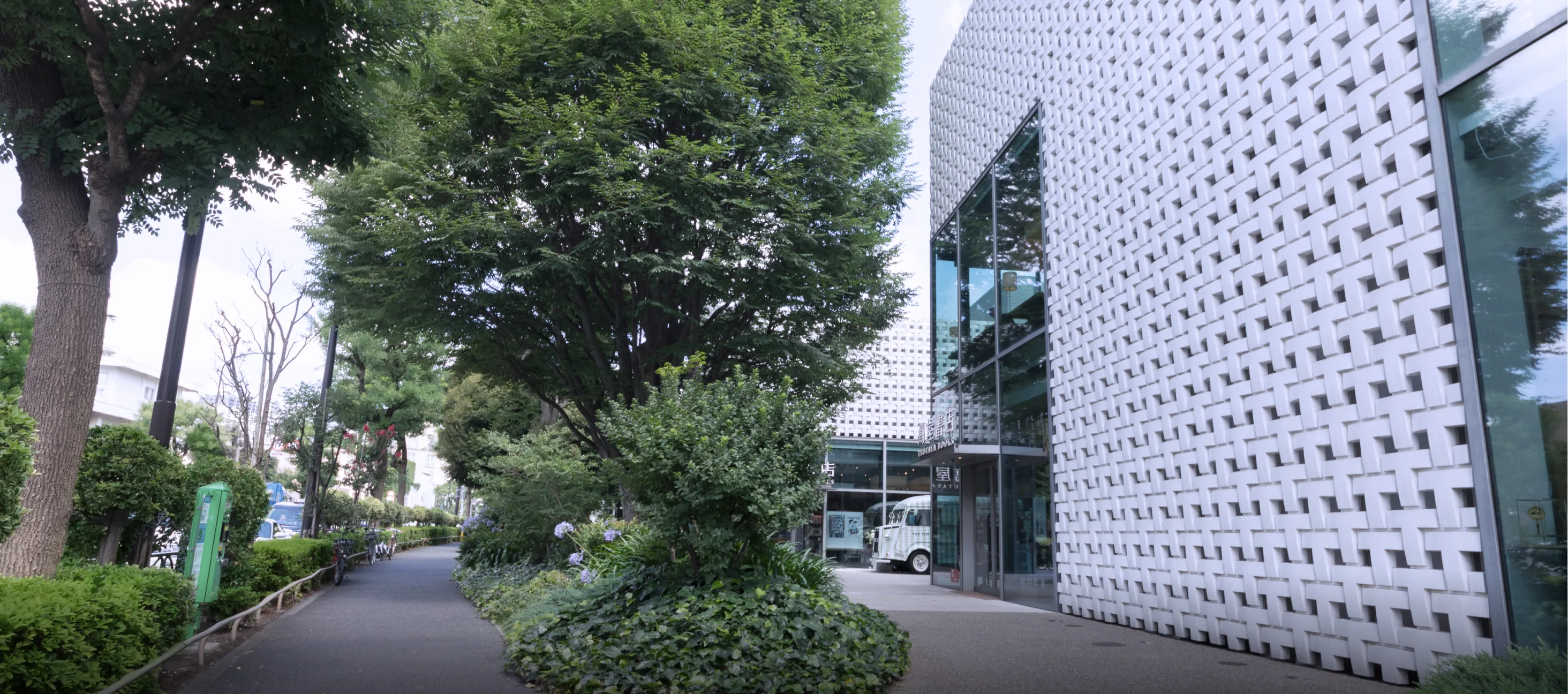 旧山手通りの並木道