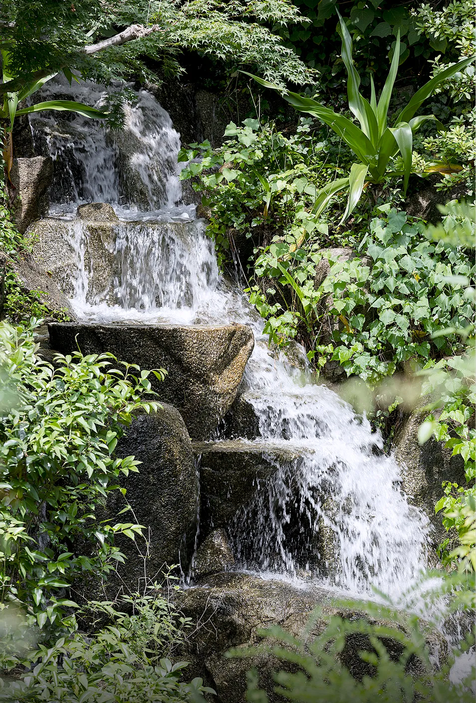 西郷山公園の滝