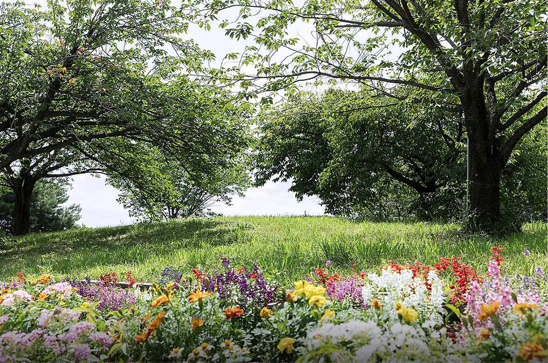 西郷山公園の花壇と木立