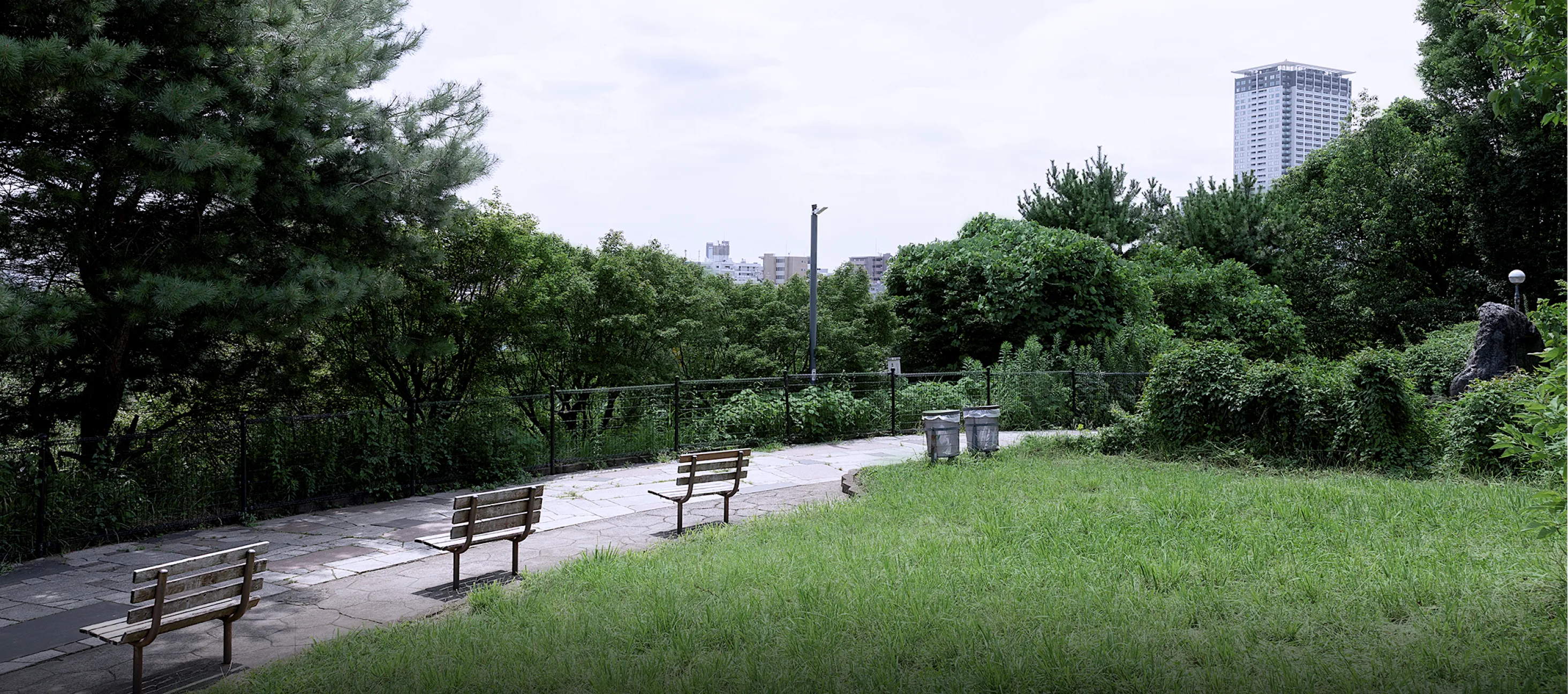 西郷山公園の芝生広場