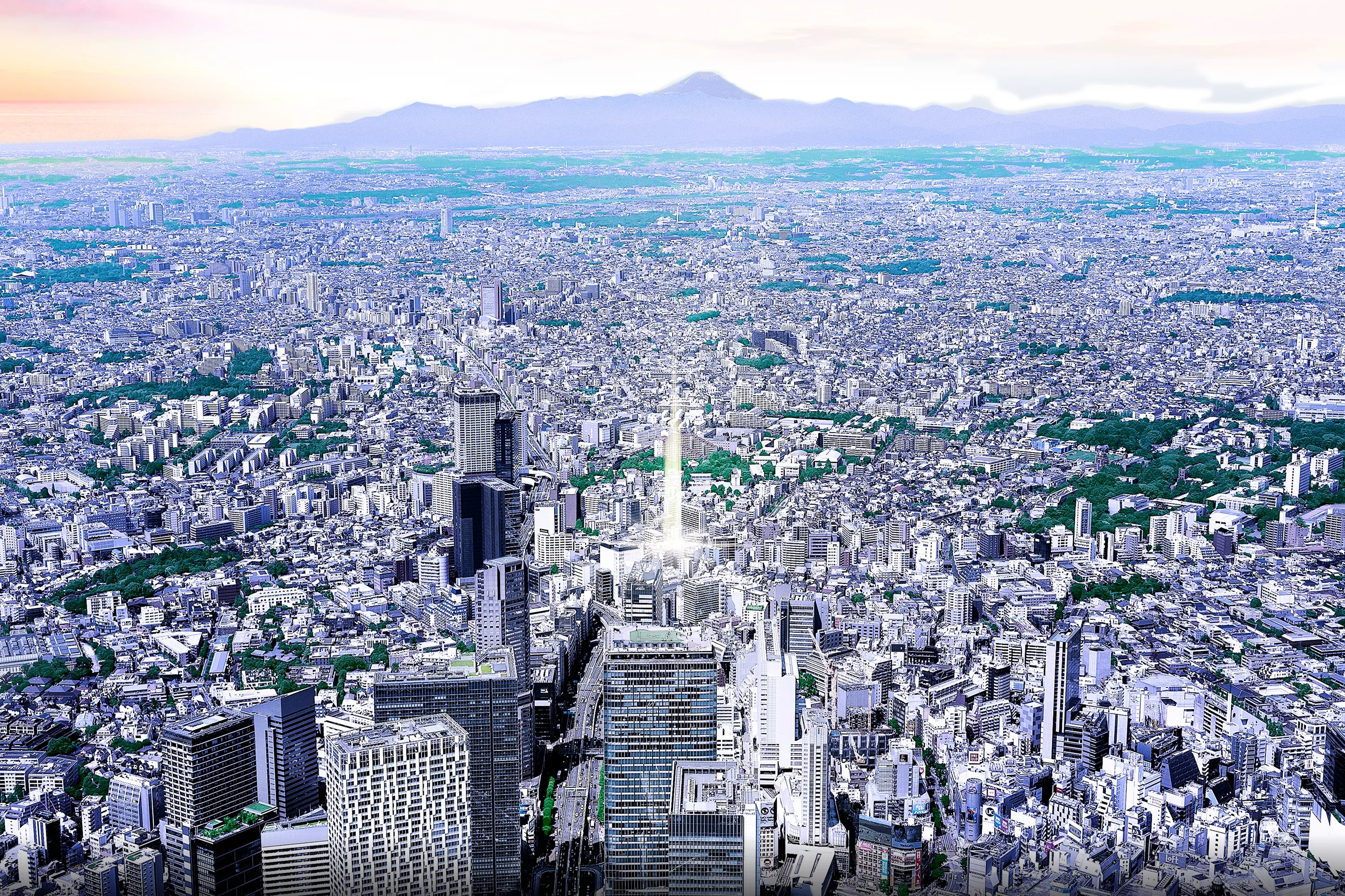 現地周辺航空写真